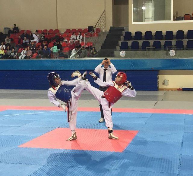 Okullar arası Yıldızlar Taekwondo İl Birinciliği müsabakaları tamamlandı