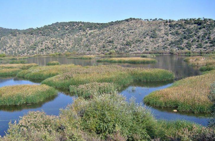 TEMA gönüllüleri Doğanbey’de toplandı G4