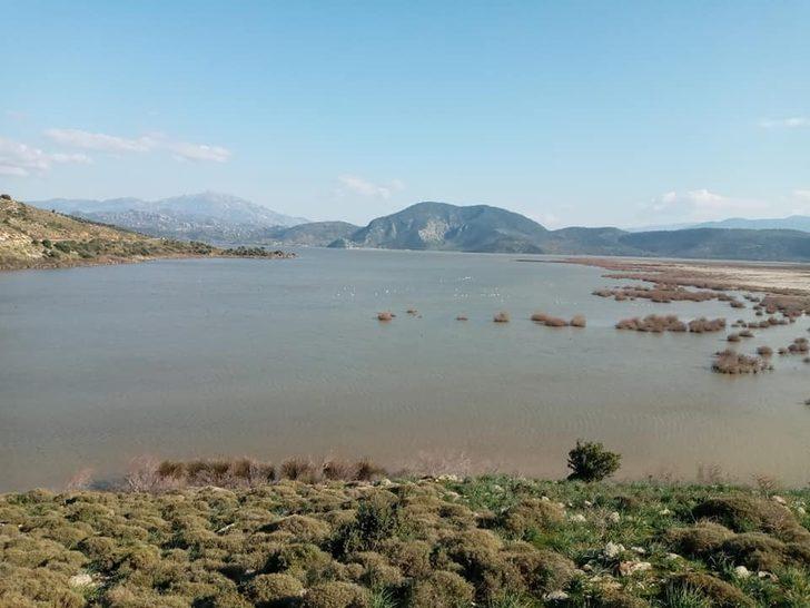 TEMA gönüllüleri Doğanbey’de toplandı G5