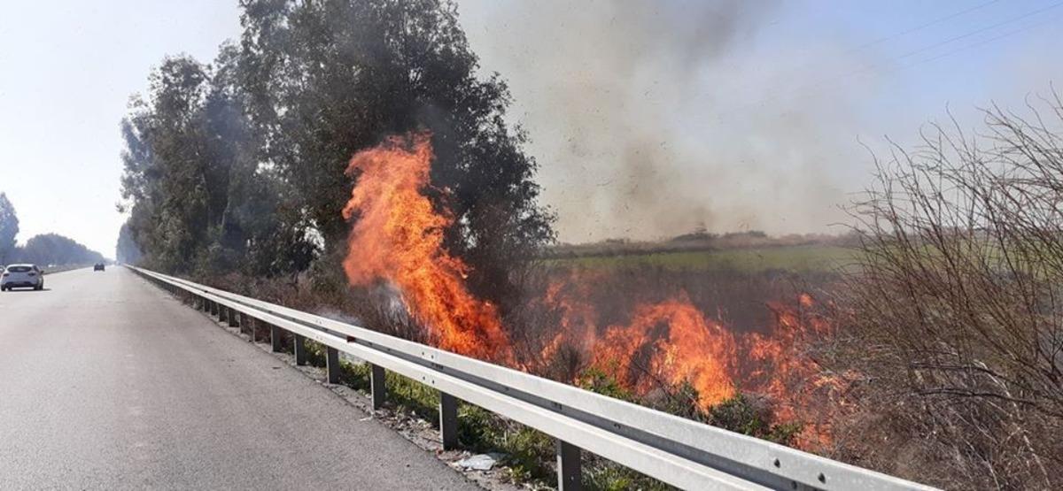 Sazlıklarla birlikte canlar da yanıyor
