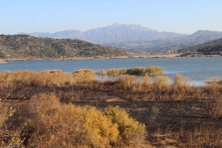 Sazlıklarla birlikte canlar da yanıyor G2