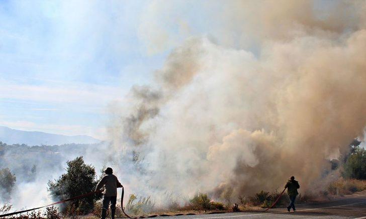 Sazlıklarla birlikte canlar da yanıyor G3