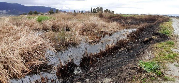 Sazlıklarla birlikte canlar da yanıyor G5