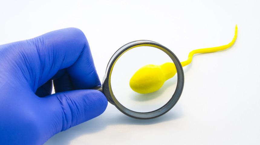 Erkek kısırlığı tedavisinde mikroçip yöntemi