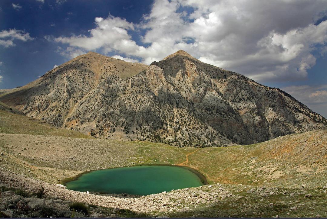 Rengiyle ilgi &ccedil;ekiyordu! Yeşilg&ouml;l kar altında