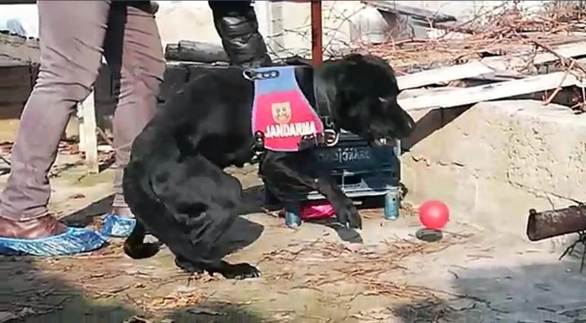 Uyuşturucu operasyonunda yakalanan ş&uuml;pheli tutuklandı