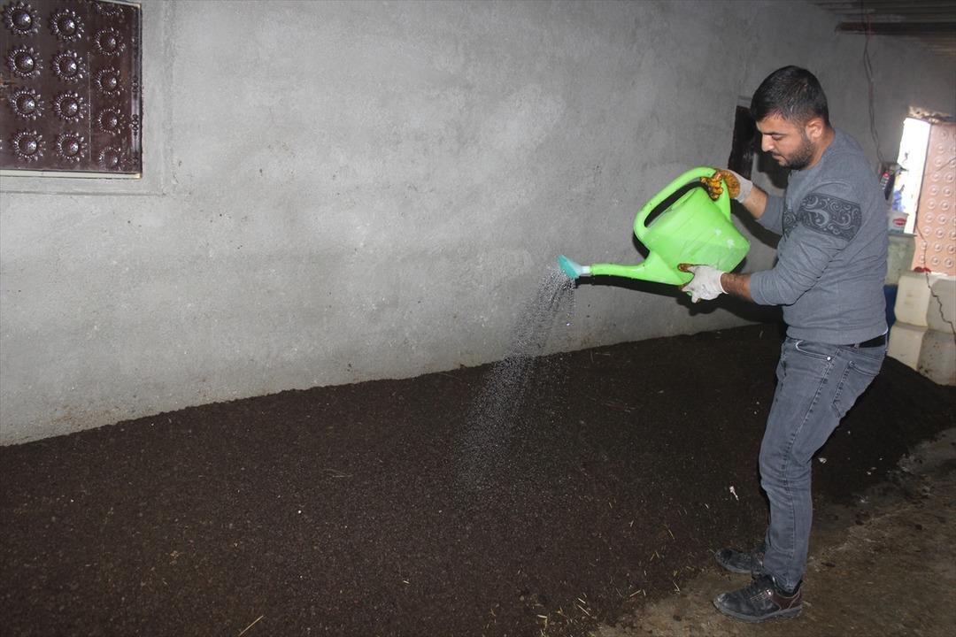 Ahırda başladığı solucan g&uuml;bresi &uuml;retiminde taleplere yetişemiyor! Kilosunu 3 liradan satıyor