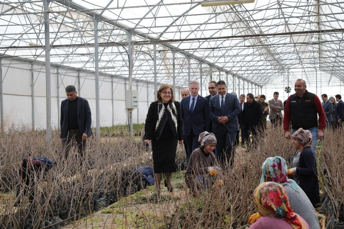 B&uuml;y&uuml;kşehir, Gaziantep&rsquo;in y&ouml;resel tatlarını koruyacak
