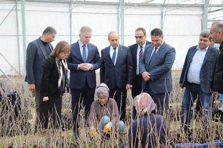 Büyükşehir, Gaziantep’in yöresel tatlarını koruyacak G2