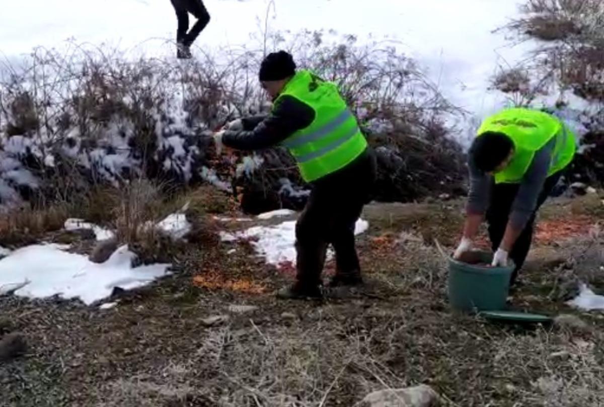 Bing&ouml;l&rsquo;de yaban hayvanları i&ccedil;in doğaya yem bırakıldı