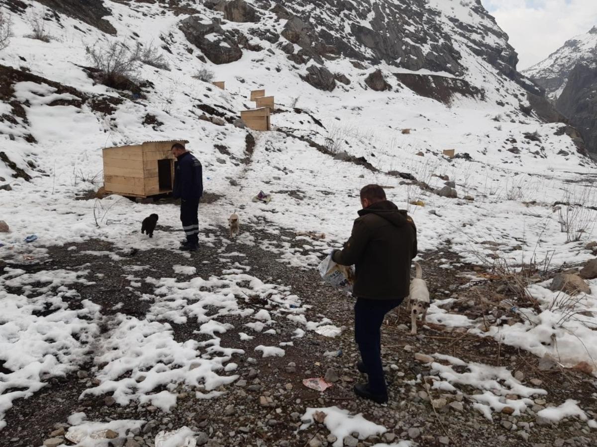 Sahipsiz hayvanlara yardım eli uzatıldı