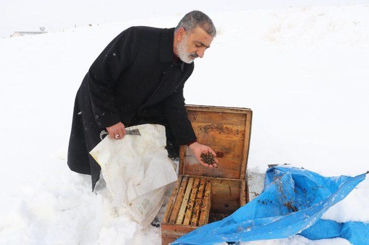 Ağrı’da arıcıların zorlu kış mesaisi G1