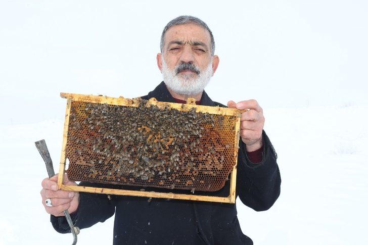 Ağrı’da arıcıların zorlu kış mesaisi G2