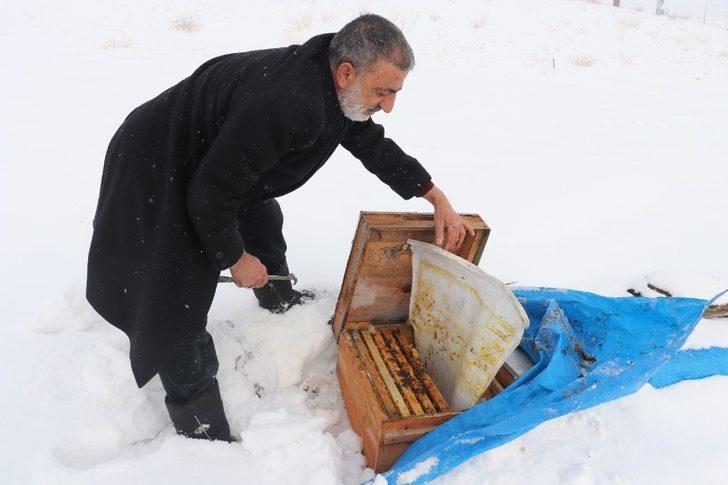 Ağrı’da arıcıların zorlu kış mesaisi G3