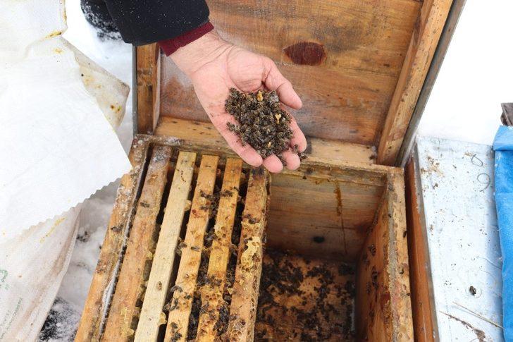 Ağrı’da arıcıların zorlu kış mesaisi G5