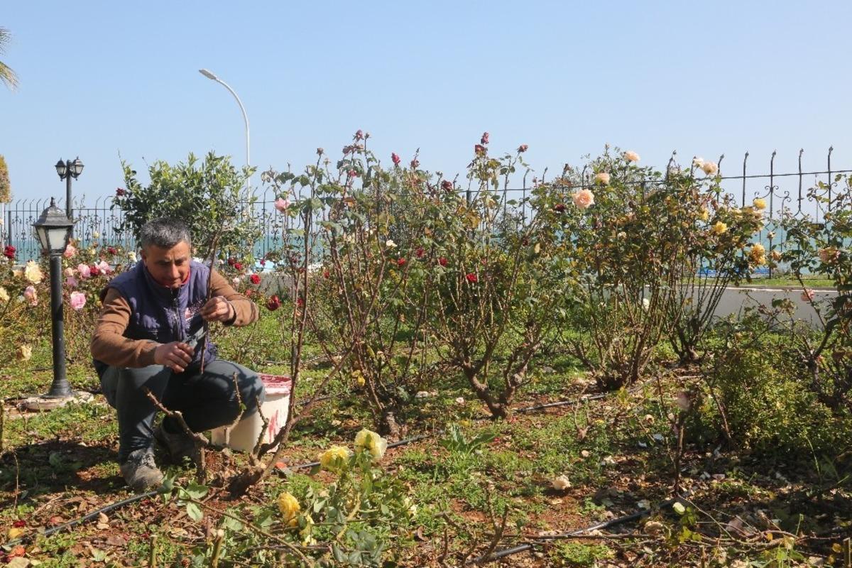 Erdemli&rsquo;de bahar hazırlığı
