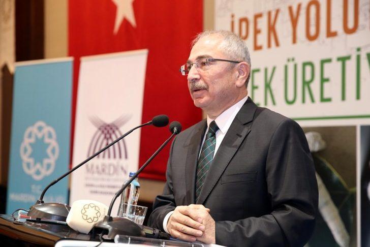 Mardinli kadınlar ipek üretecek G5