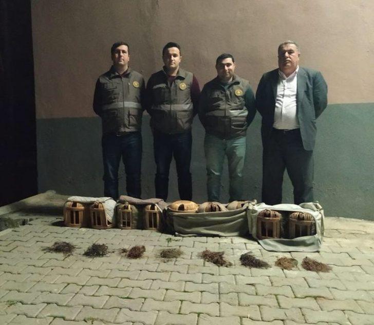 Şanlıurfa’da kaçak avlanmış 9 kınalı keklik ele geçirildi G1