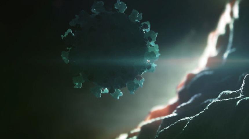 Koronavir&uuml;s, Hırvatistan ve Avusturya'ya da sı&ccedil;radı