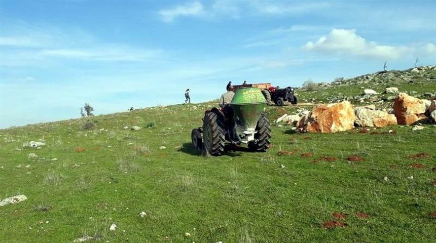 Meralarda ilkbahar gübrelemesi