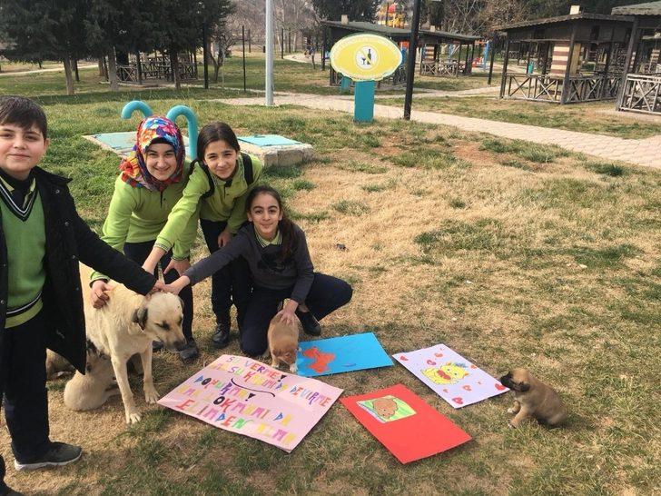 Öğrencilerden sokak hayvanlarına destek G2