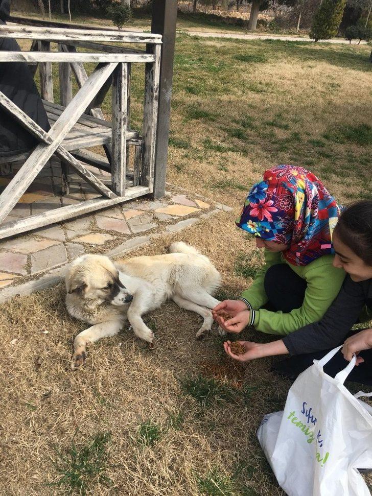 Öğrencilerden sokak hayvanlarına destek G3