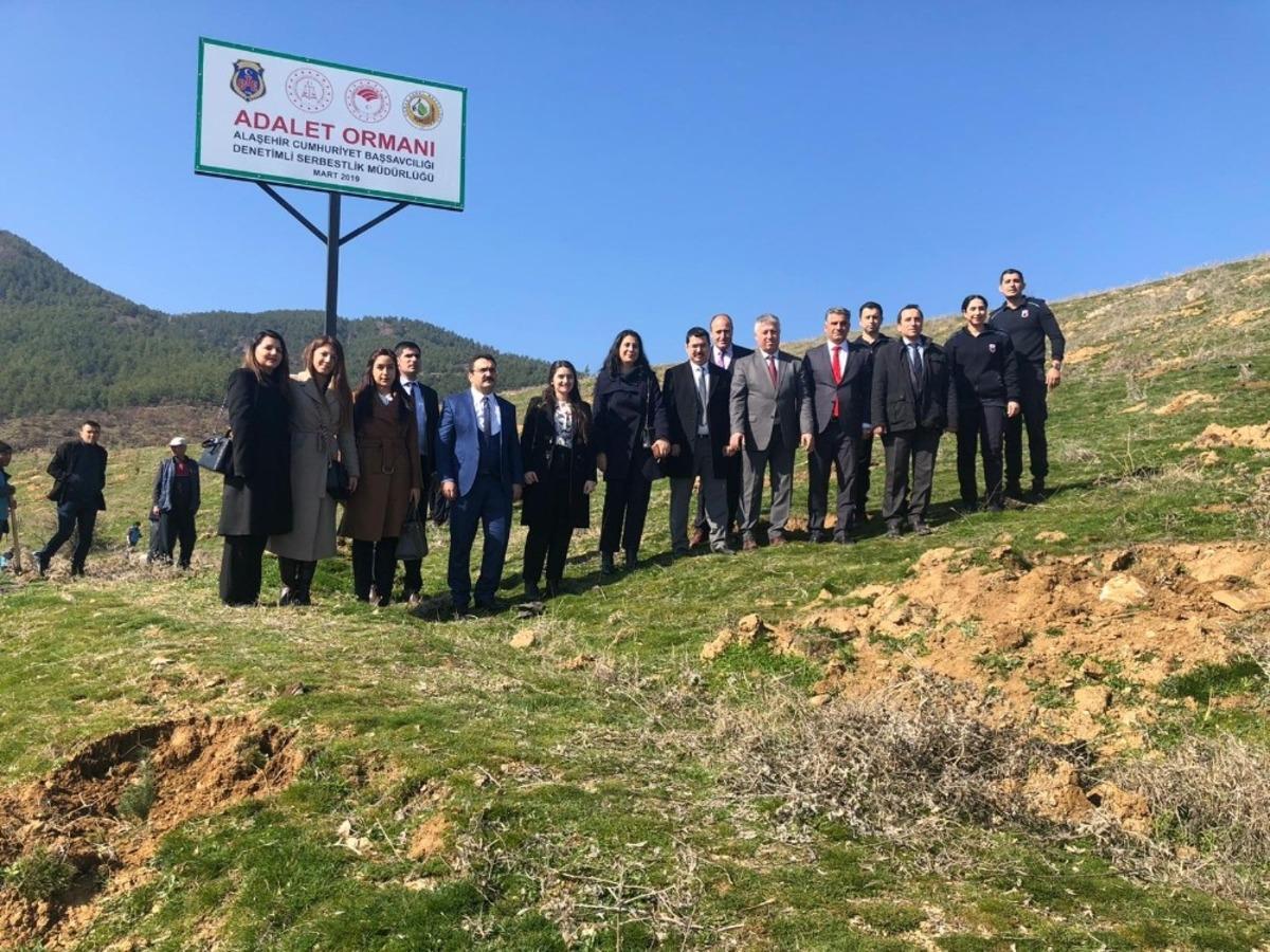 Hakim ve savcılar h&uuml;k&uuml;ml&uuml;lerle birlikte fidan dikti