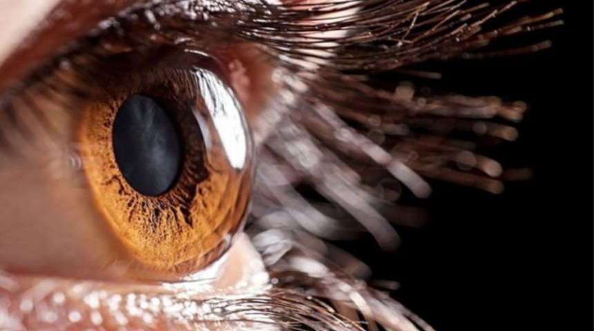 3D yazıcı ile &uuml;retilen insan korneaları umut ışığı oldu