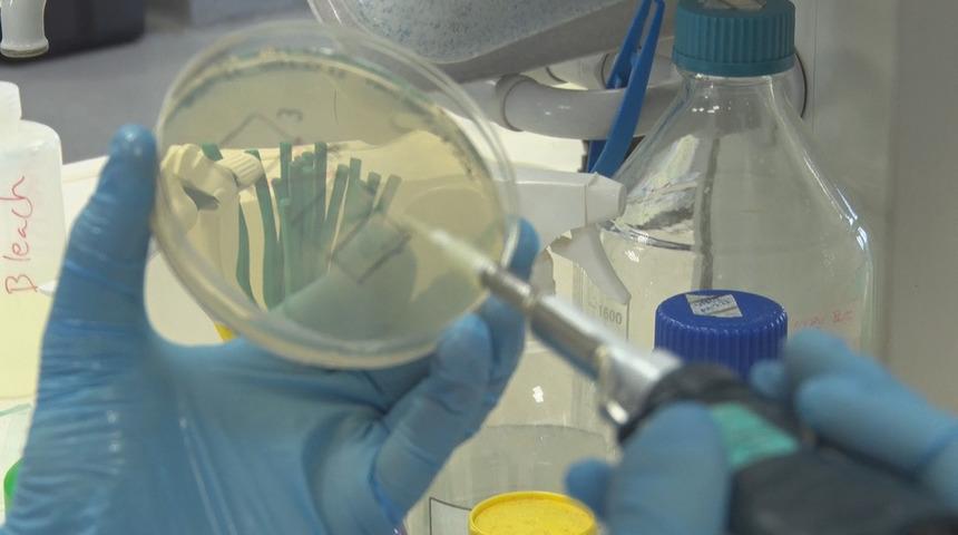 'Koronavir&uuml;s biyolojik silah mı?' sorusuna T&uuml;rk uzmandan yanıt