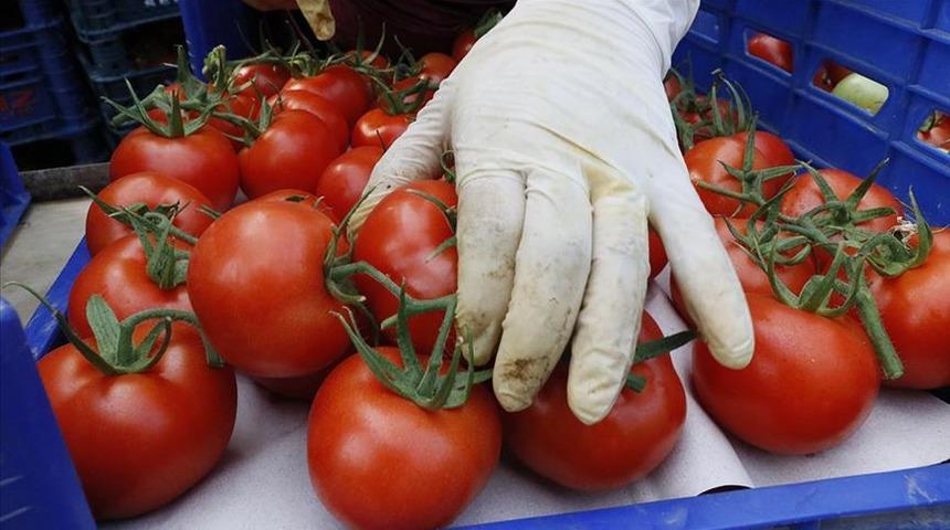  Rusya, Türkiye'den domates ithalat kotasını artırdı