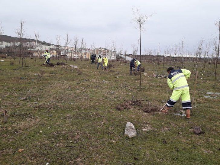 Büyükşehir’den Yukarı Hereke’de ağaçlandırma çalışması G3