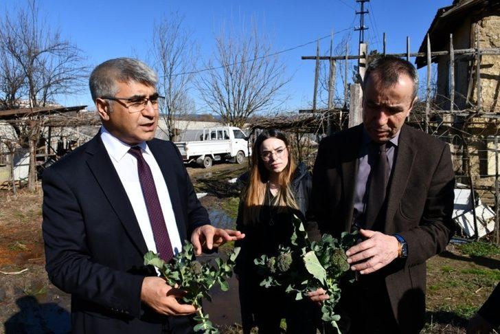 Vali Gürel’den örtü altı üreticilerine ziyaret G3