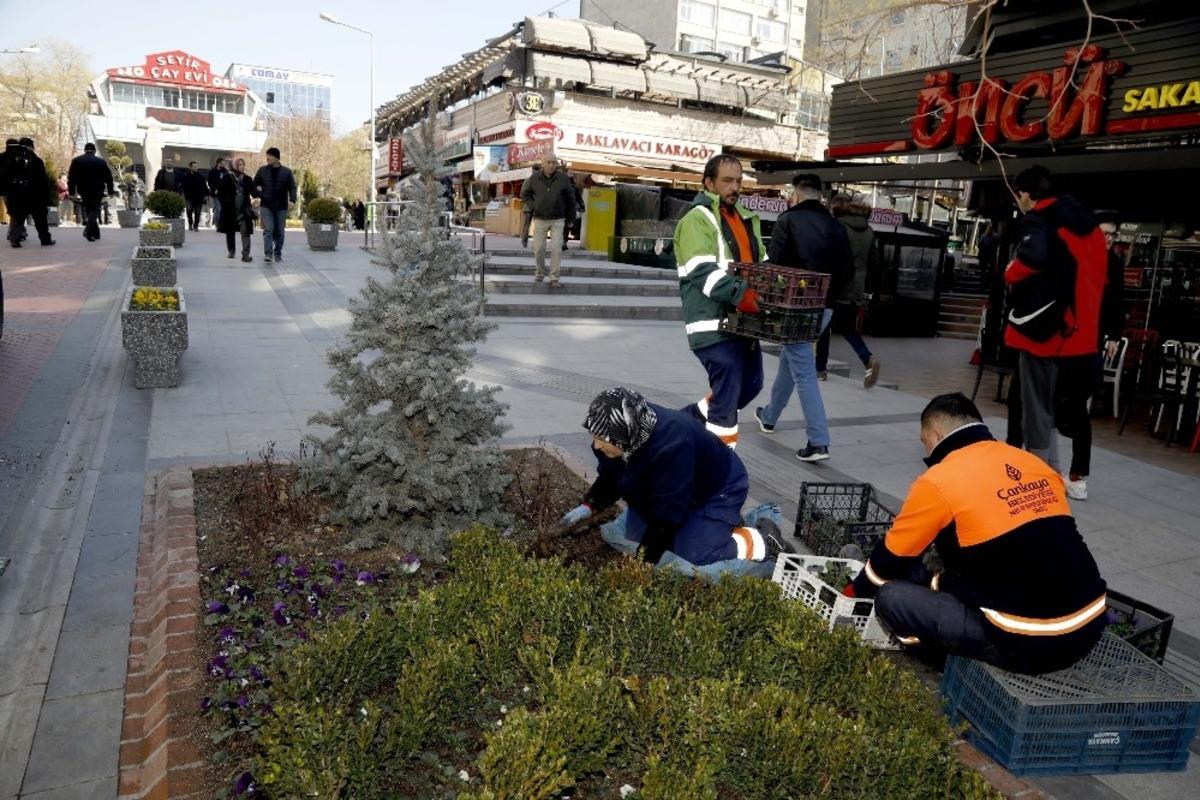 Sakarya&rsquo;da 13 bin &ccedil;i&ccedil;ek a&ccedil;tı
