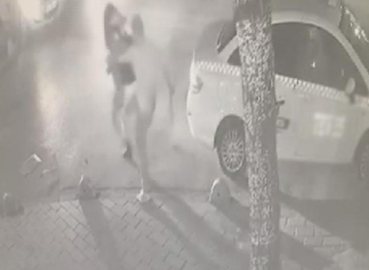 Fatih'te lin&ccedil; girişimi! Elinde sopa, yarı &ccedil;ıplak bir şekilde kadına saldırdı