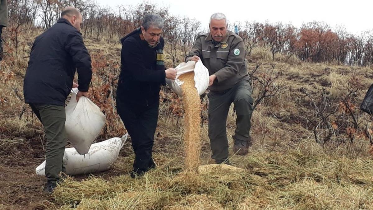 Elazığ&rsquo;da yaban hayvanları i&ccedil;in doğaya yem bırakıldı