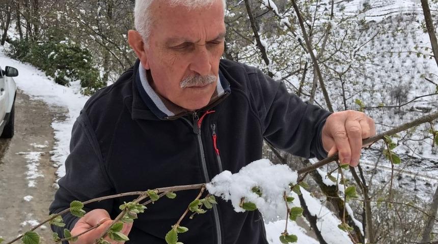 Kar fındığa yaradı