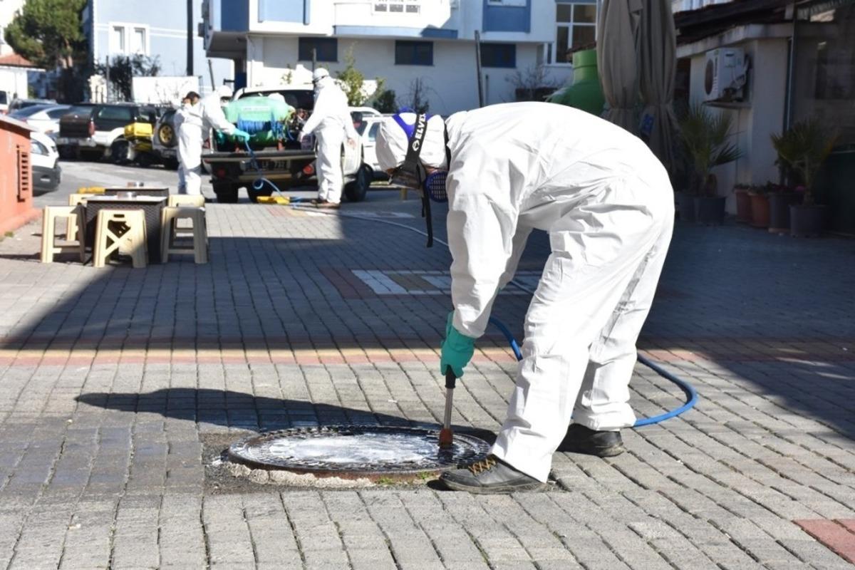 Edremit Belediyesi sinekle m&uuml;cadeleye başladı