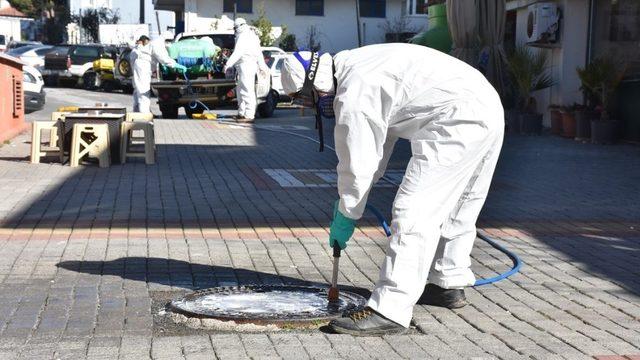 Edremit Belediyesi sinekle mücadeleye başladı