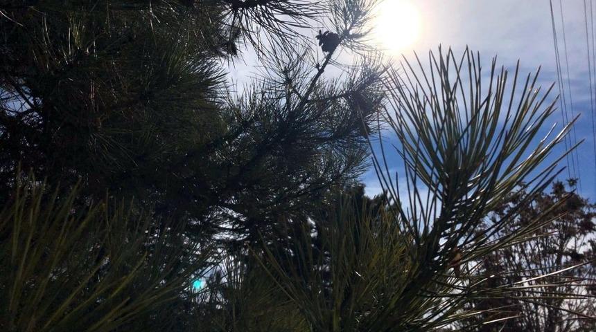 Sıcak havalar yerini hafta sonu yağmur kar yağışına bırakacak