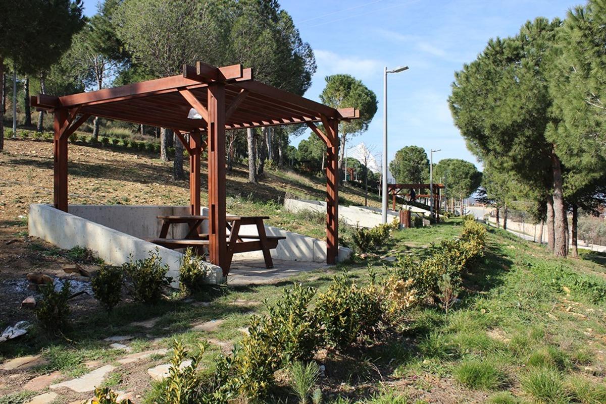 Deniz ve doğa bu noktada buluşuyor: Taylıeli Piknik Alanı 