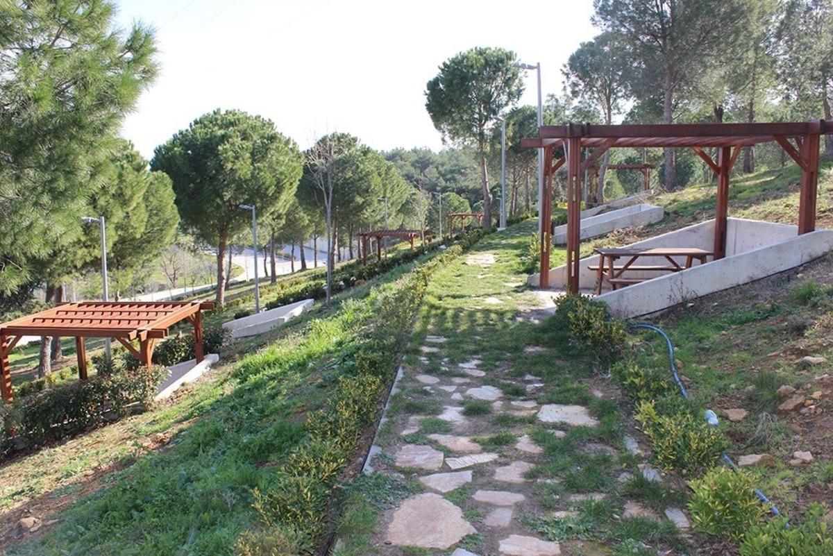 Deniz ve doğanın buluşma noktası Taylıeli Piknik Alanı