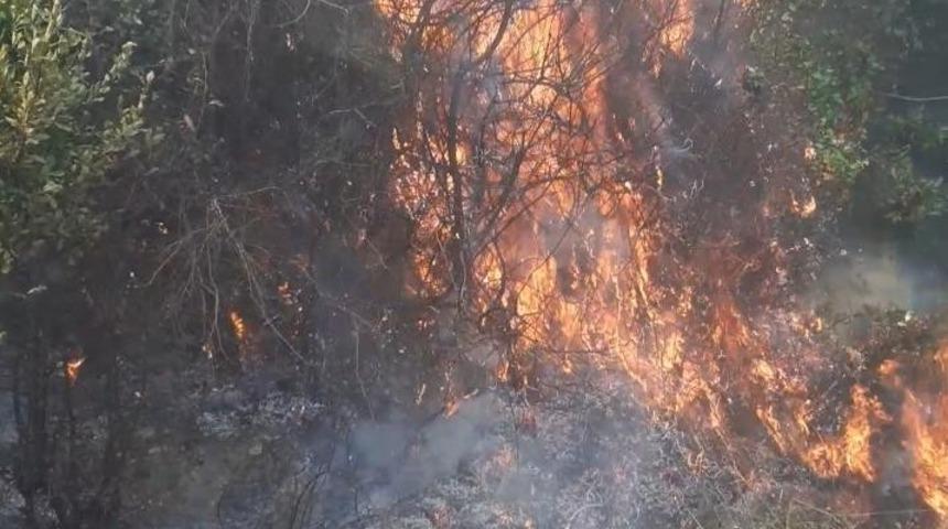 Samandağ’da zeytinlikte yangın