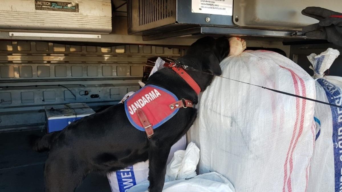 Jandarma trafik ekipleri drone ile uygulama yaptı