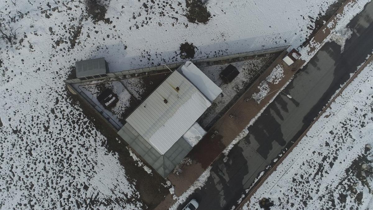 (&Ouml;zel) Sokak kedilerine 5 yıldızlı otel konforunda bakım