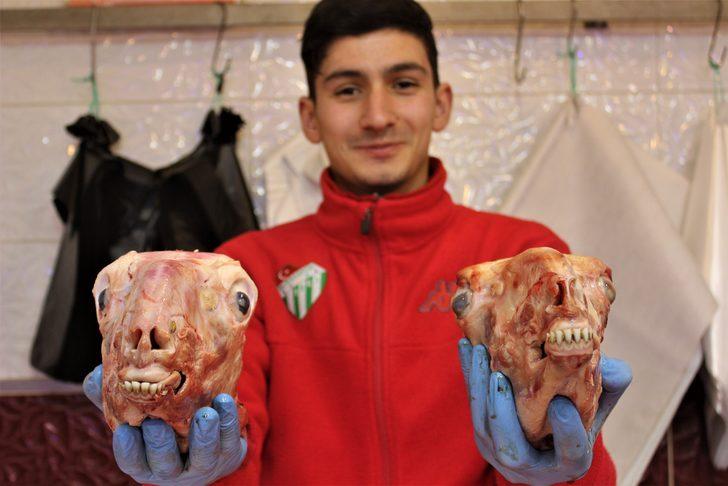 Canan Karatay gündeme taşıdı, vatandaş sakatatçılara akın etti G2