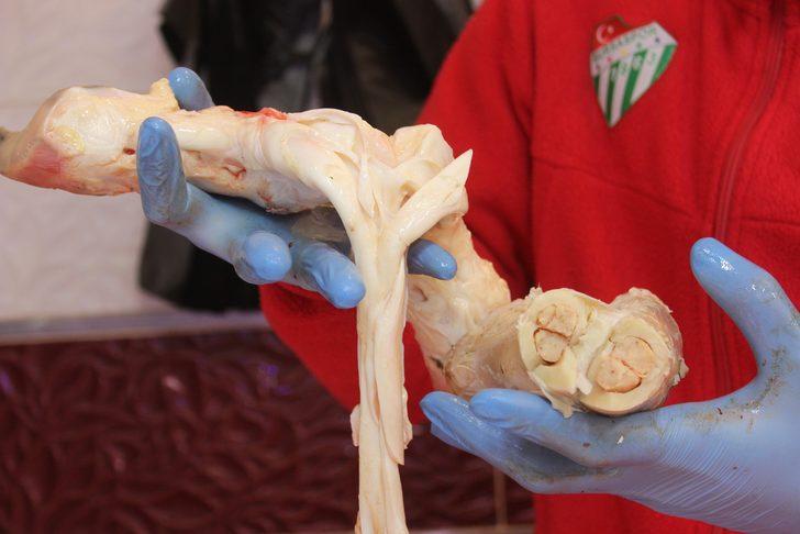 Canan Karatay gündeme taşıdı, vatandaş sakatatçılara akın etti G4