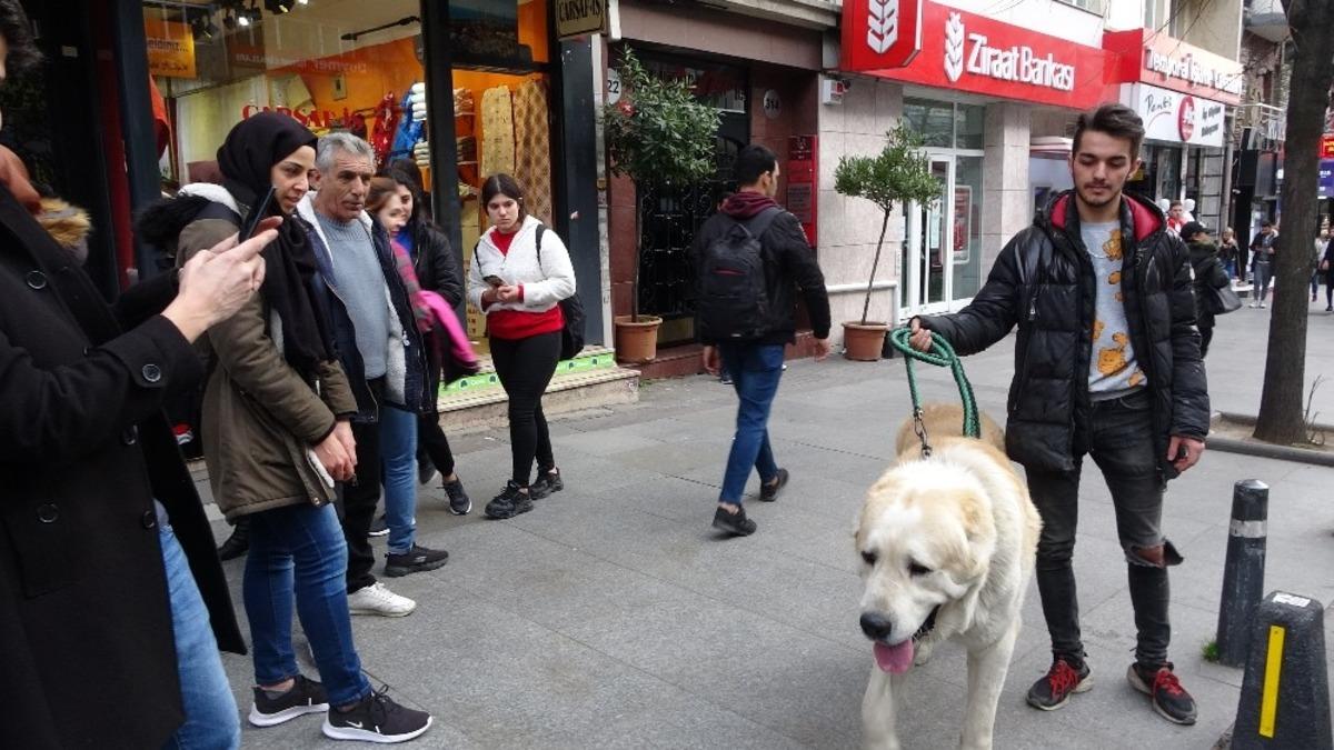 G&ouml;renler şaşkınlıklarını gizleyemedi... T&uuml;rkiye&rsquo;de daha b&uuml;y&uuml;ğ&uuml; yok