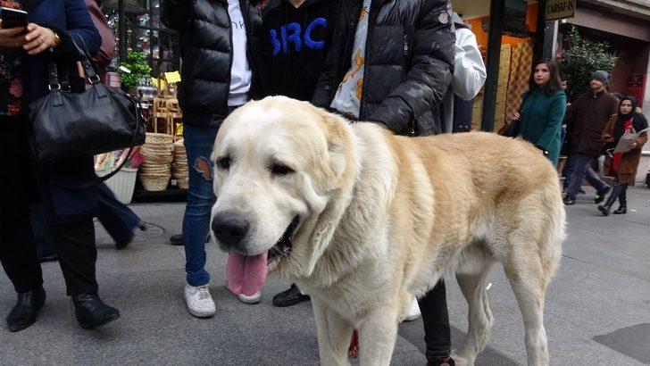 Görenler şaşkınlıklarını gizleyemedi... Türkiye’de daha büyüğü yok G2