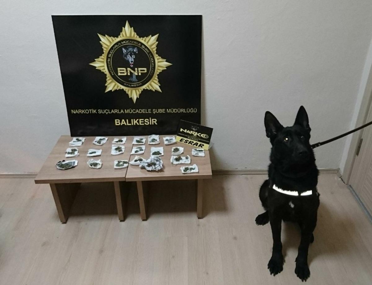 Dedekt&ouml;r k&ouml;pek Baht&rsquo;dan bingo