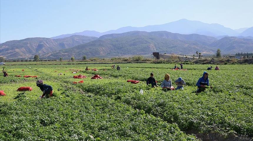  Tarım işçisinin günlük ücreti arttı